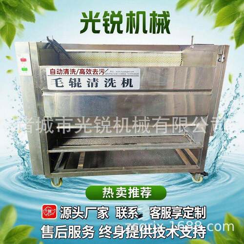 南瓜去皮机 清洗去皮毛刷清洗机 果蔬清洗去皮机