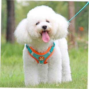 Leashs Mesh Chest Dog Supplies Dogs Strap Adjustable Harness