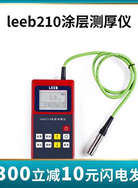 涂层测厚仪里博TT210g手持式(分体)漆膜测厚仪磁性探头