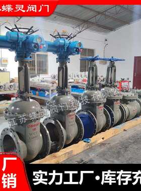 Z941H-25C硬密封零泄露DN1000电动闸阀Z941HW铸钢电动闸阀