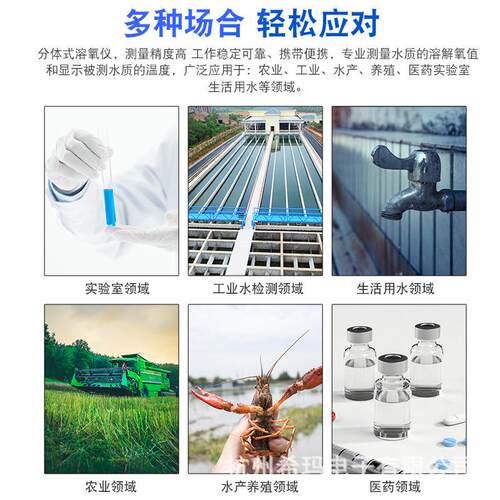 AR8210数显溶氧仪便携式水含氧量检测仪鱼塘水产溶解氧测定仪