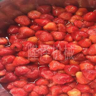 诸城 果脯浸渍锅 苹果片真空浸糖锅