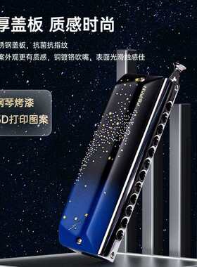 FEIFAN飞繁仰望星空12孔半音阶口琴YW48专业演奏成人初学者星空色