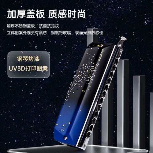 FEIFAN飞繁仰望星空12孔半音阶口琴YW48专业演奏成人初学者星空色