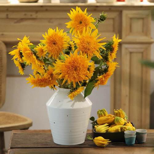 雅辑 旋 青白瓷手工大花瓶花器 家居日用花器 月亮罐