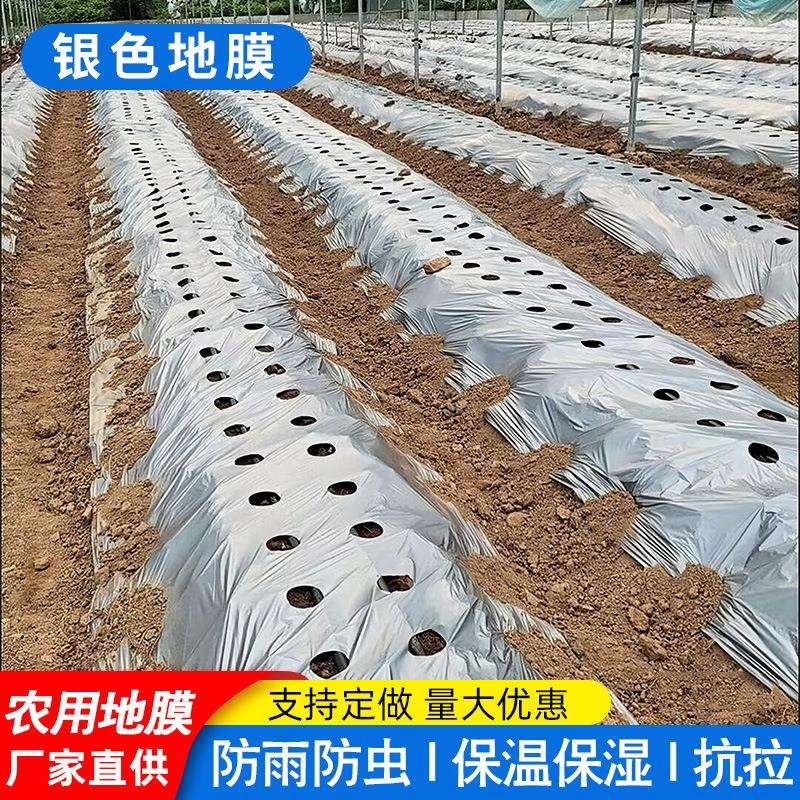 农用银黑地膜蔬菜种植双色反光除草防虫防晒草莓专用育苗银色薄膜
