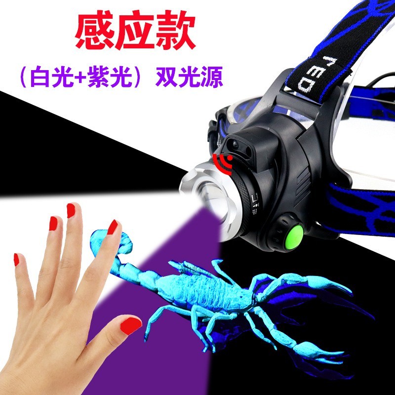 感应变焦紫光头灯 单头白紫双光充电LED户外专用头戴式照明验钞灯