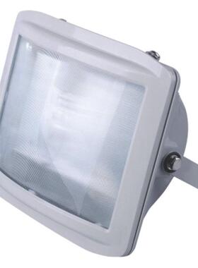 FFd系列防水防尘泛光灯175W250W400W