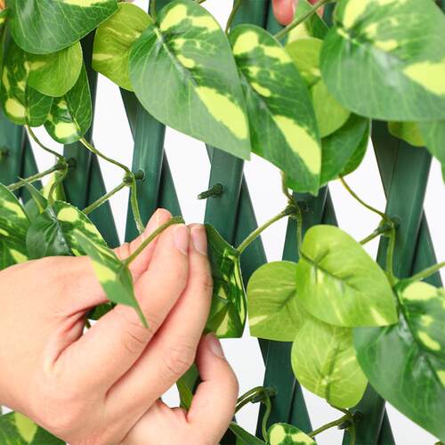 仿真伸缩篱笆栅栏围栏人造塑料假绿植庭院围墙装饰叶子遮挡植物