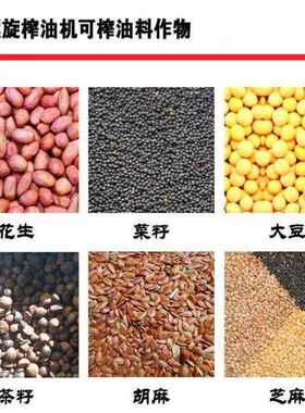 螺旋油花生榨菜籽螺旋榨油全自动机商用大型机大豆葵花FFB籽榨油