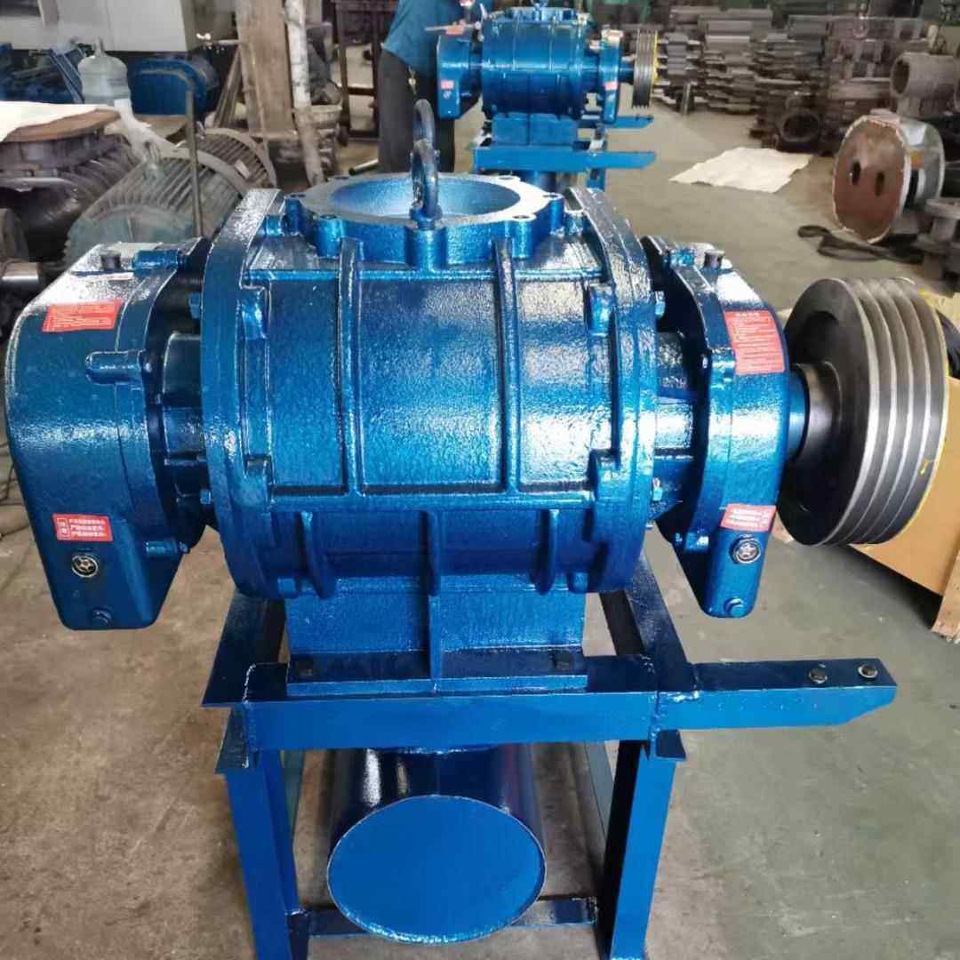 工艺气输送，防腐不锈钢罗茨鼓风机/真空泵