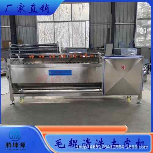 毛辊果蔬清洗机商用花生土豆红薯藠头生姜黄精马蹄莲藕毛刷清洗机