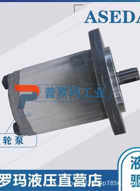 ASEDA齿轮泵SP197-32 SP197-40 SP197-50 SP197-55 SP197-63油泵