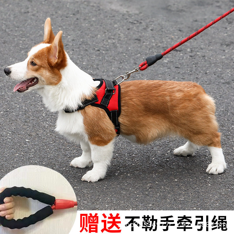 大型犬狗狗牵引宠物宠物狗牵引绳