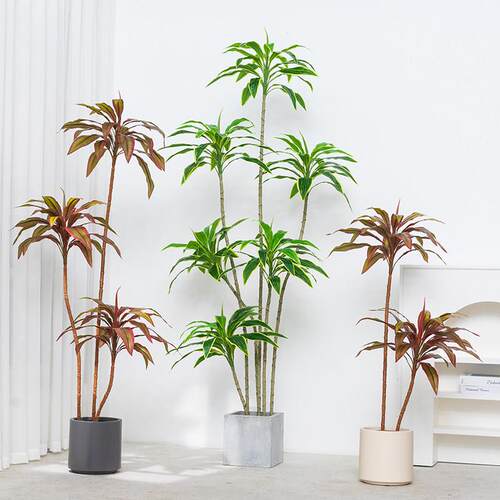仿真植物红边铁北欧大型假绿植盆栽轻奢客厅室内落地假树装饰摆件