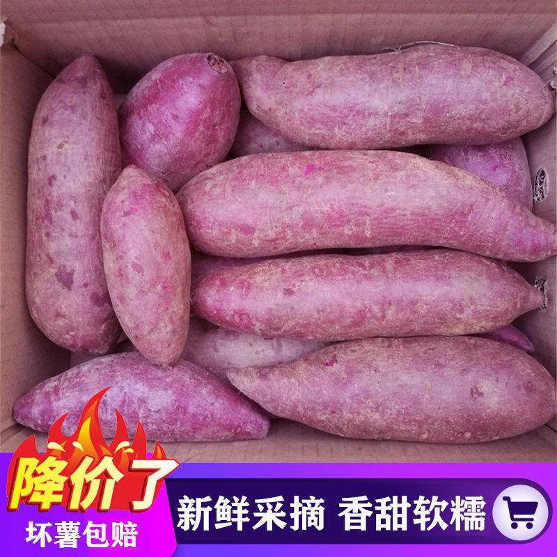 正宗正宗湖北襄阳紫罗兰紫薯新鲜番薯蜜薯板栗红薯沙地地瓜糖心山