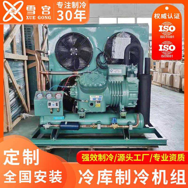半封闭比泽尔冷库制冷机组一体机制冷压缩机谷轮型冷冻保鲜库