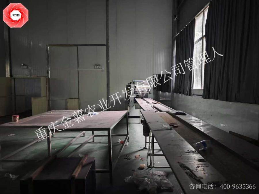 1月1日重庆武隆农业公司名下自动包装机和热收缩炉4项机器设备网络拍卖公告