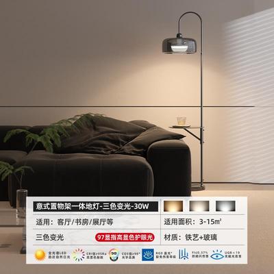 高档云栖围现代色烟灰客厅氛鱼落地灯置物架一体卧室钓高级感立式