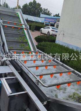 全自动毛洗机 全套工厂用豆耀邦加工设备 洗清毛豆机豆毛器