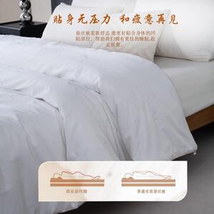 全棉贡缎提花蚕丝被手工双宫茧桑蚕丝二合一子母被被子春秋冬被芯