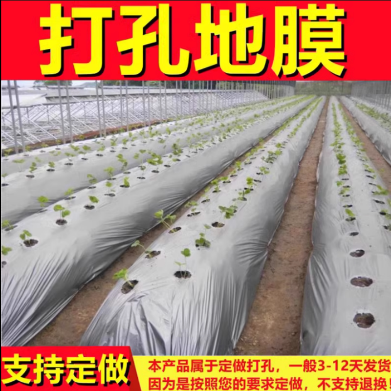 定制带洞眼农用塑料薄膜蔬菜双色打孔地膜银黑地膜防草率90%左右