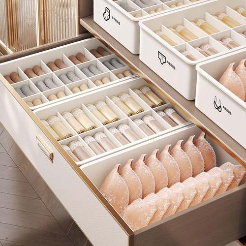 Drawer Organizer for Underwear, Bras, and Socks - 3-in-1 Int