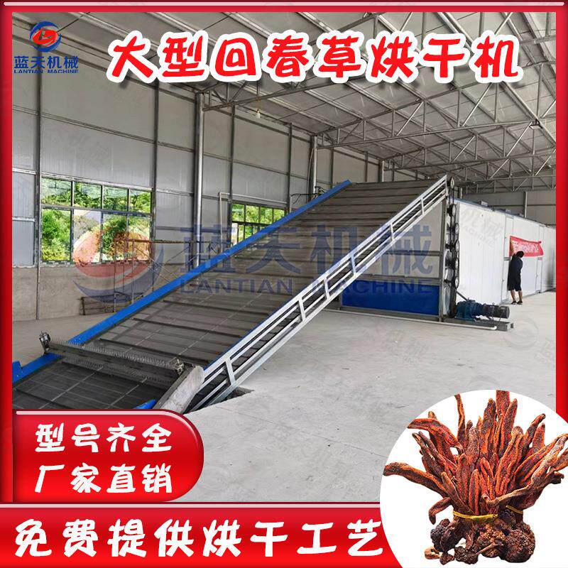 网带式回春草烘干机大型鹿茸回心草药材除湿干燥机灵芝烘干设备