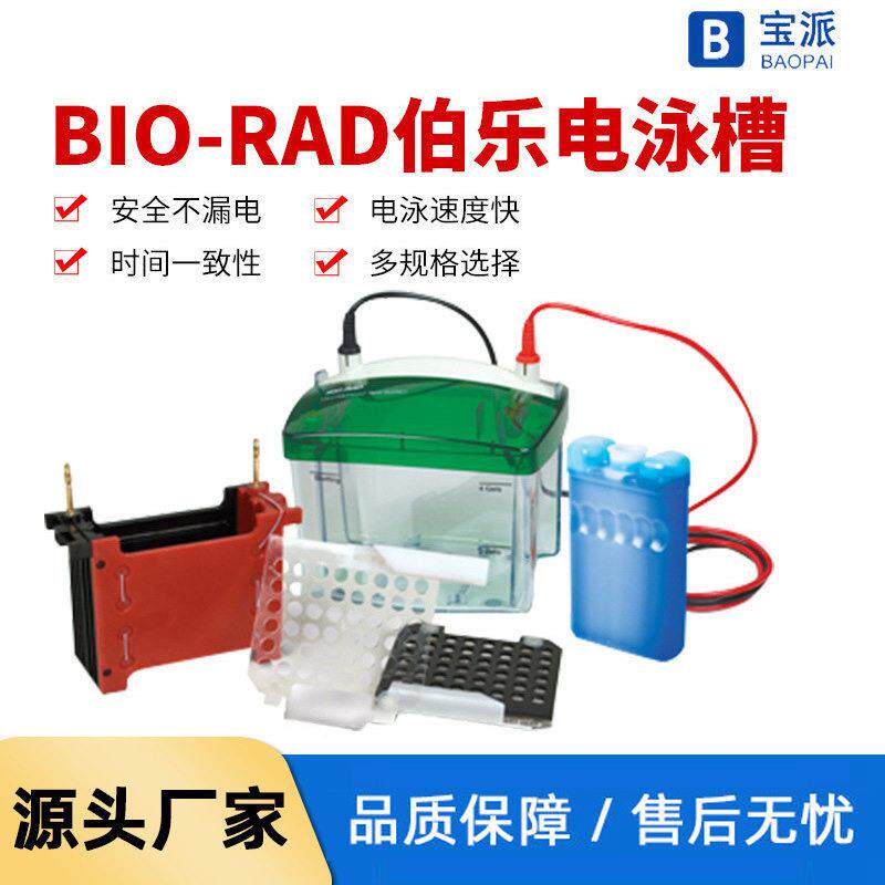 宝派一级美国伯乐BIO-RAD小型垂直电泳槽电泳仪转印槽现货