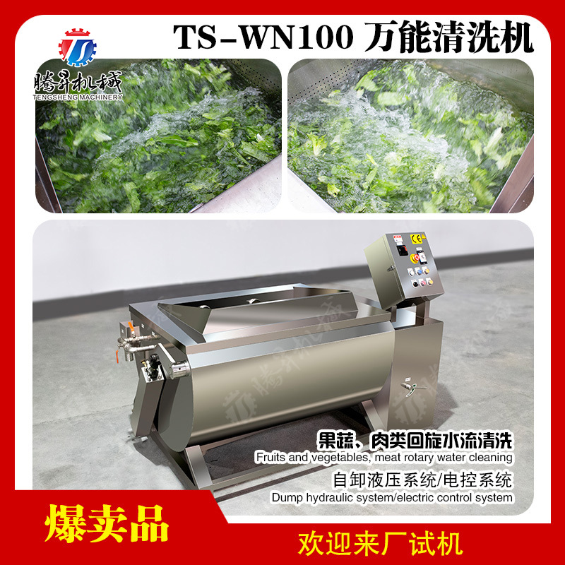 果蔬肉类旋流清洗机 万能洗菜机 2024新款清洗设备 液压起倒物料