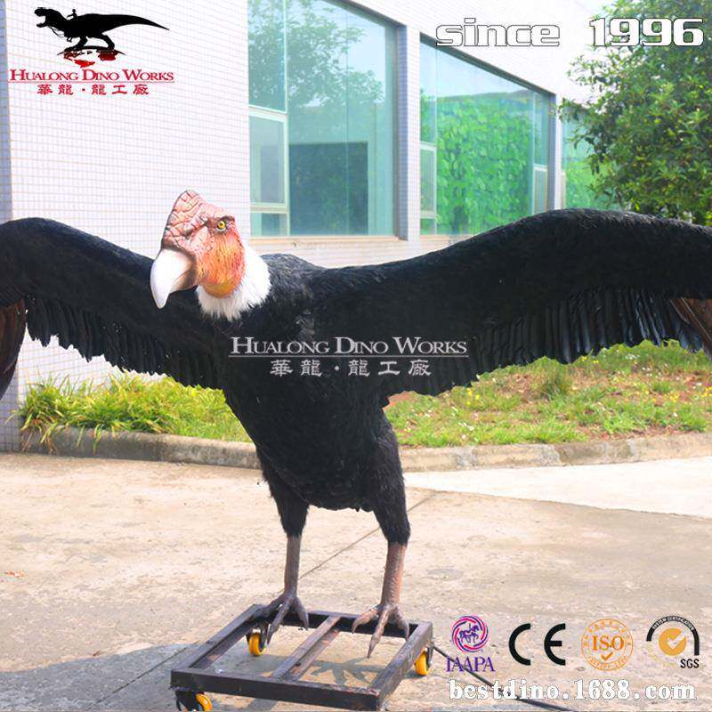 仿真动物模型 仿真秃鹫机模 鸟类模型 自然博物馆展览 参观拍照.