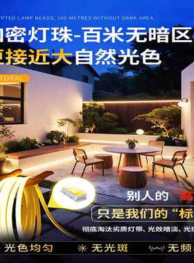 led灯太阳墅能户灯带外防水灯带晚上自动亮软条别OQB花园庭院氛围