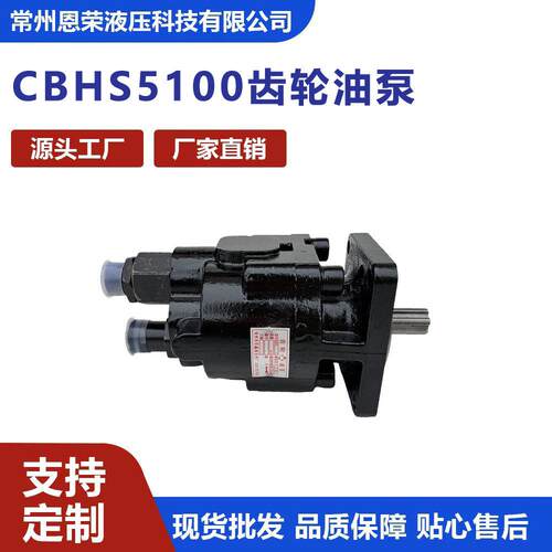 CBHS5100右旋100ml/r压铸铁齿轮泵自卸车装载机工程机械液