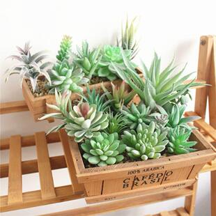 Succulents Artificial Plants Home Deco Green Garden Flocking