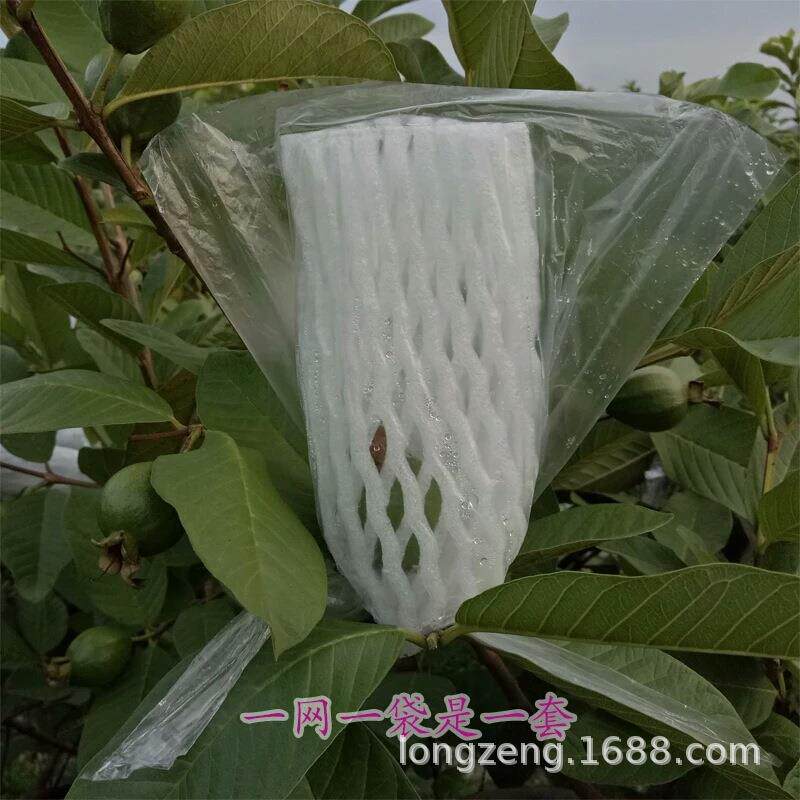 美曾番石榴套袋水蜜桃水果网套一体套袋有耳型防虫防鸟泡沫网胶袋