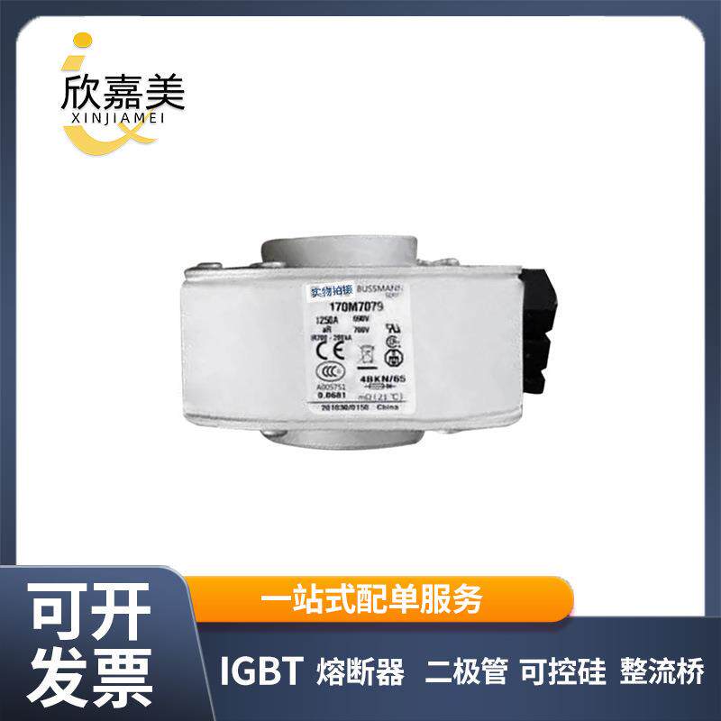 170M7079170M7083快速熔断器保险丝电子元器件量大价优