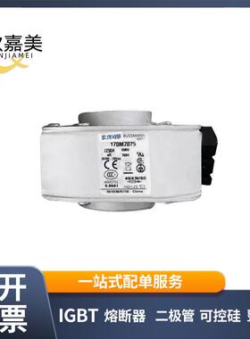 170M7079170M7083快速熔断器保险丝电子元器件量大价优