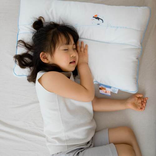 A类全棉60长绒棉刺绣儿童枕芯可爱幼儿园宝宝枕头学生低矮枕芯