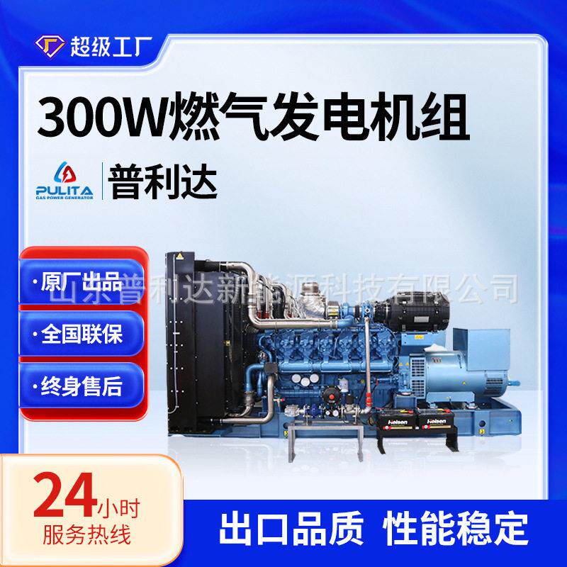 新能源动力天然气发电机双燃料沼气数据中心发电机组CNG热电联产