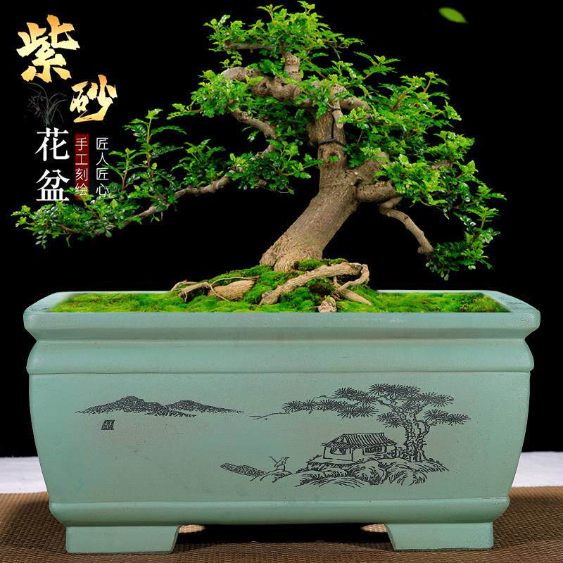 紫砂花盆特大号马槽海棠罗汉松榕树盆栽长方形加深梅花老桩盆景盆