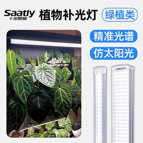 全光谱T8T20一体双植物灯管室内多肉补光灯仿太阳光LED植物补光灯
