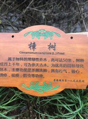 定制花草地牌树牌户外插地牌防腐实木质牌简介植物挂牌悬挂式标牌