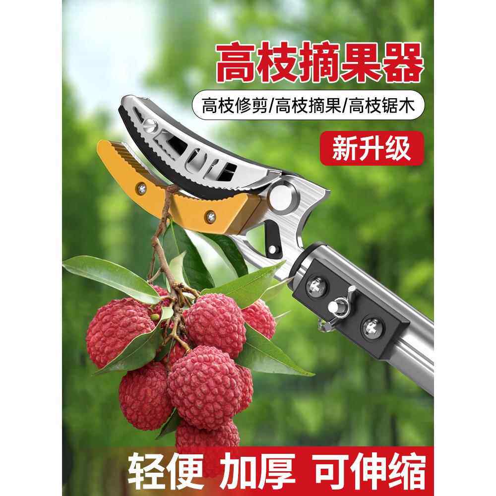 摘酸枣采摘水果荔枝芒果龙眼伸缩杆高空剪果树修剪高枝剪