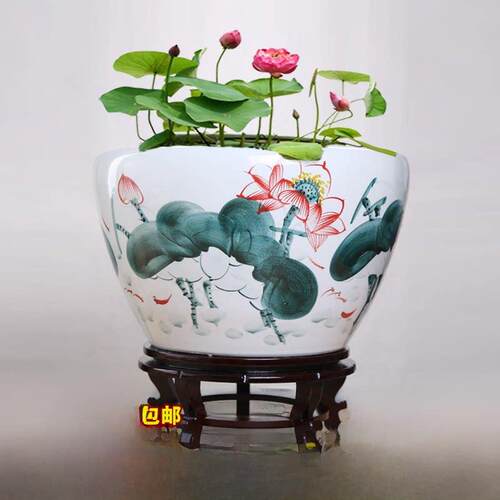 景德镇陶瓷鱼缸鱼缸大碗莲花睡莲盆莲花金鱼缸客厅龟缸