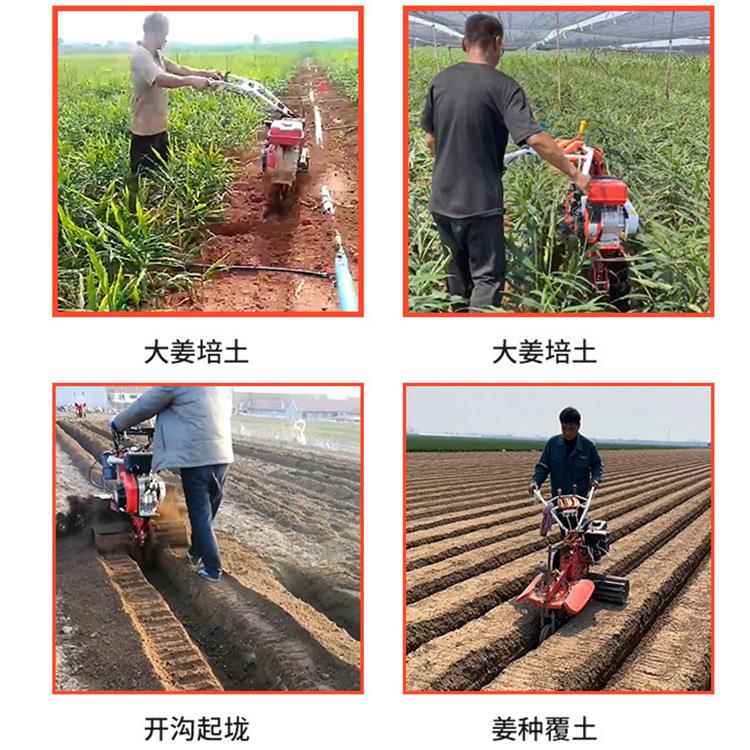 86油自走机大葱开沟大姜培土羊XZT肚菌柴培土开沟1机多功能管理机