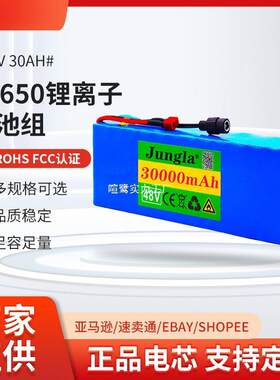 电动自行车电池 48v 30Ah 18650 锂离子电池组 13串3并+充电器