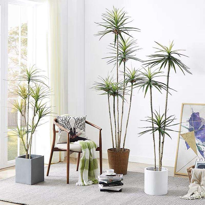 沙漠狭叶龙血树假绿植剑麻凤尾丝兰植物仿真千年木龙血树真