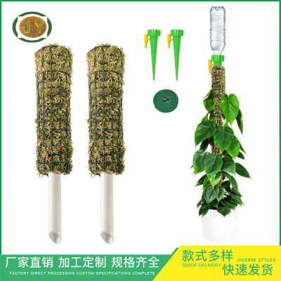 苔藓菜园植物支撑杆秋海棠绿萝水苔龟背竹海芋园艺花支架花园爬藤