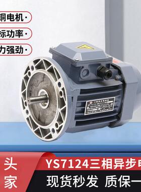 厂家三相异步电动机YS7124非标全铜线电机370w380v交流电机