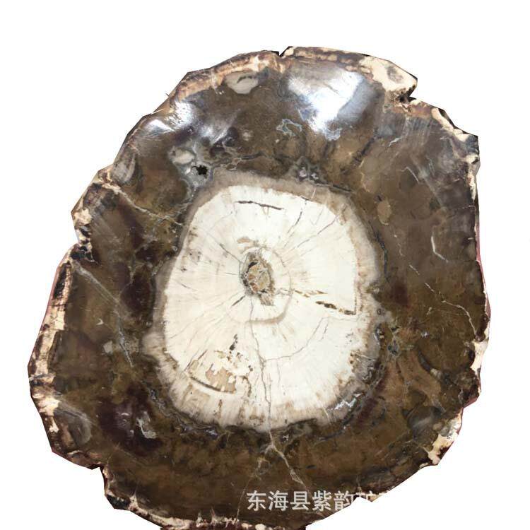 木化石原石 片状树玉化 个性茶托 装饰 木花石摆件